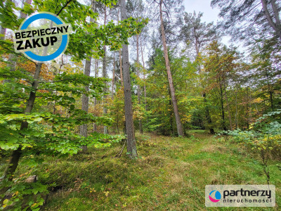Działka pod dom lub usługi w leśnym otoczeniu - Chwaszczyno  -
Pomorskie Zdjęcie nr 4
