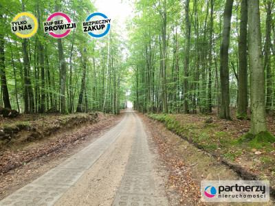 Grzmiąca działki koło Bytowa - Grzmiąca  -
Pomorskie Zdjęcie nr 10