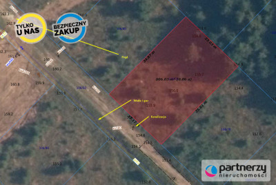 PEŁNE UZBROJENIE  LAS JEZIORO  PROSTOKĄTNA - Borkowo  -
Pomorskie Zdjęcie nr 2