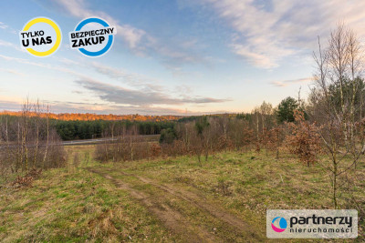 900M OD JEZIORA  PROSTOKĄTNA  TANIO - Borkowo  -
Pomorskie Zdjęcie nr 12