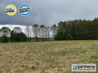 Działki w malowniczej lokalizacji Bory Tucholskie - Konarzyny  -
Pomorskie Zdjęcie nr 7