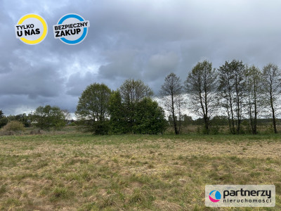 Działki w malowniczej lokalizacji Bory Tucholskie - Konarzyny  -
Pomorskie Zdjęcie nr 8