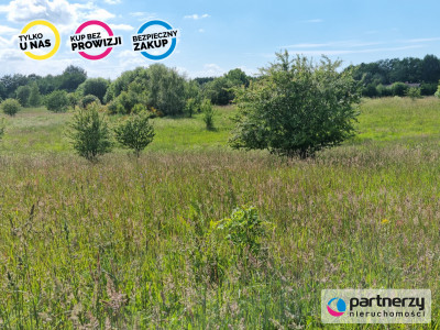 Działka z linią brzegową nad jeziora Salinko - Salinko  -
Pomorskie Zdjęcie nr 6