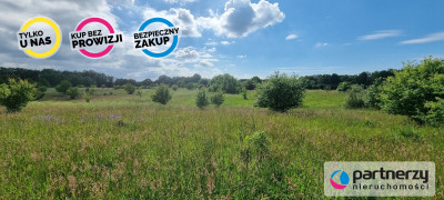 Działka z linią brzegową nad jeziora Salinko - Salinko  -
Pomorskie Zdjęcie nr 7