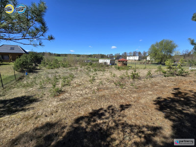 Tylko u nas - w otoczeniu jezior przy lesie  - Struga  -
Pomorskie Zdjęcie nr 3