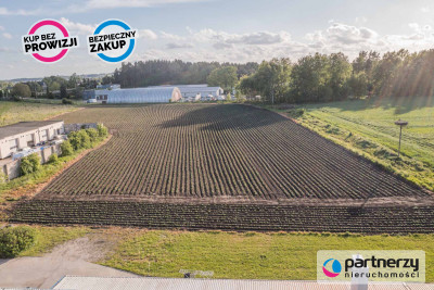 Przemysłowa  Prostokątna  Płaska  3137m2 - Bojano  -
Pomorskie Zdjęcie nr 11