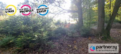 Ładna działka w dobrej okolicy - Bieszkowice  -
Pomorskie Zdjęcie nr 12