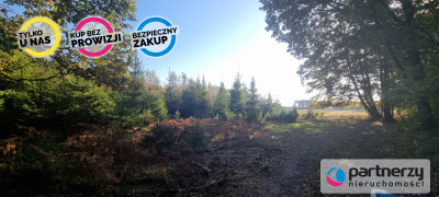 Ładna działka w dobrej okolicy - Bieszkowice  -
Pomorskie Zdjęcie nr 14