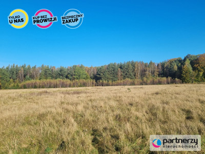 Ładna działka w dobrej okolicy - Bieszkowice  -
Pomorskie Zdjęcie nr 2