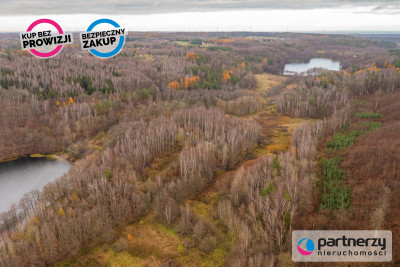 Działka tuż przy Jeziorze Przywidzkim - Miłowo  -
Pomorskie Zdjęcie nr 8