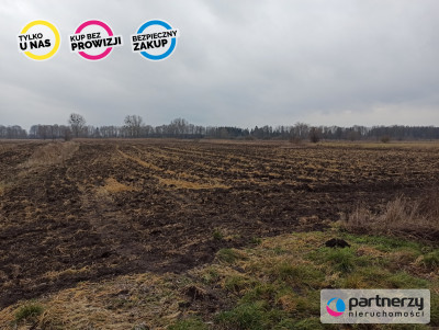 Ziemia rolna Roszkowo obok Pruszcza Gd 4 hekatry - Roszkowo  -
Pomorskie Zdjęcie nr 6