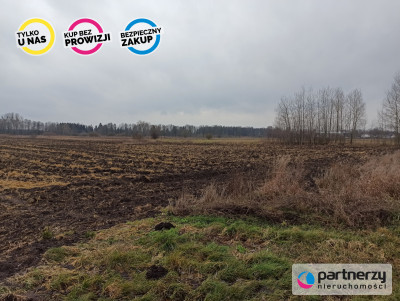 Ziemia rolna Roszkowo obok Pruszcza Gd 4 hekatry - Roszkowo  -
Pomorskie Zdjęcie nr 7