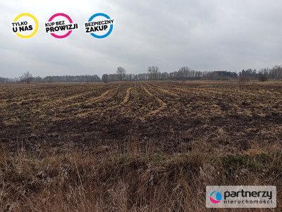 Ziemia rolna Roszkowo obok Pruszcza Gd 4 hekatry - Roszkowo  -
Pomorskie Zdjęcie nr 8