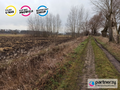 Ziemia rolna Roszkowo obok Pruszcza Gd 4 hekatry - Roszkowo  -
Pomorskie Zdjęcie nr 9