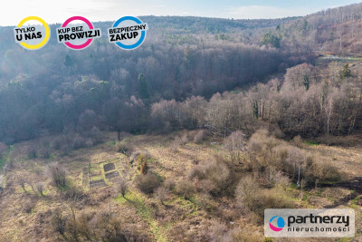 WYJĄTKOWA DZIAŁKA w Gdyni las rzeka spokój - Mały Kack  -
Pomorskie Zdjęcie nr 10