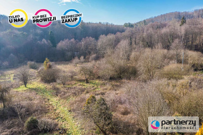 WYJĄTKOWA DZIAŁKA w Gdyni las rzeka spokój - Mały Kack  -
Pomorskie Zdjęcie nr 5