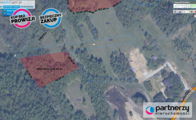 WYJĄTKOWE miejscedla Konesera Graniczna Wieś - Graniczna Wieś  -
Pomorskie Zdjęcie nr 2