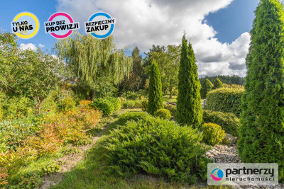 Słoneczna działka 2500 m2 - powiat kartuski  -
Pomorskie Zdjęcie nr 8