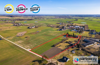 Działka 205 ha OKAZJA Gołębiewko k Trąbek - Gołębiewko  -
Pomorskie Zdjęcie nr 7