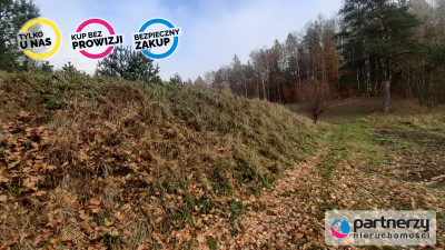 DZIAŁKA z WZ  Smętowo Chmieleńskie przy lesie - Smętowo Chmieleńskie  -
Pomorskie Zdjęcie nr 10