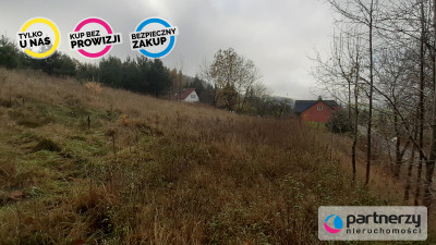 DZIAŁKA z WZ  Smętowo Chmieleńskie przy lesie - Smętowo Chmieleńskie  -
Pomorskie Zdjęcie nr 5