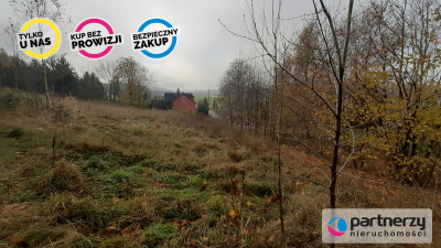 DZIAŁKA z WZ  Smętowo Chmieleńskie przy lesie - Smętowo Chmieleńskie  -
Pomorskie Zdjęcie nr 6