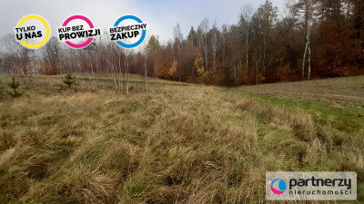 DZIAŁKA z WZ  Smętowo Chmieleńskie przy lesie - Smętowo Chmieleńskie  -
Pomorskie Zdjęcie nr 8