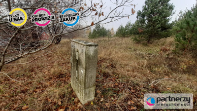 DZIAŁKA z WZ  Smętowo Chmieleńskie przy lesie - Smętowo Chmieleńskie  -
Pomorskie Zdjęcie nr 9