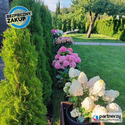 Rod im Arenda Dickmana Oliwa Gdańsk - Oliwa  -
Pomorskie Zdjęcie nr 12