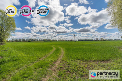 Przepiękna działka inwestycyjna - Sobieszewo  -
Pomorskie Zdjęcie nr 14