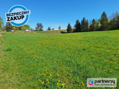 Działka budowlana inwestycyjna Kościerska Huta - Kościerska Huta  -
Pomorskie Zdjęcie nr 3