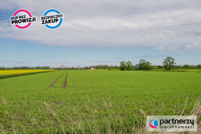 Działka inwestycyjna w Gdańsku - Niegowo  -
Pomorskie Zdjęcie nr 7