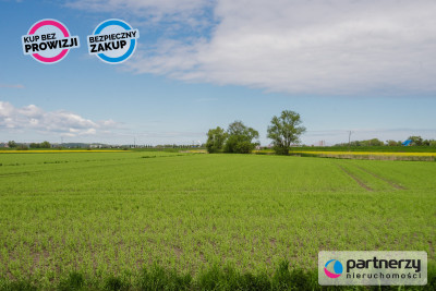Działka inwestycyjna w Gdańsku - Niegowo  -
Pomorskie Zdjęcie nr 8