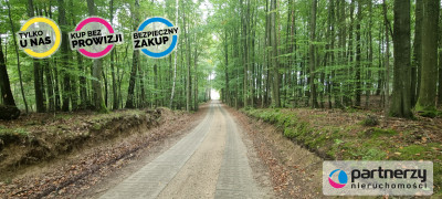 DZIAŁKI W OKOLICY BYTOWA - powiat bytowski  -
Pomorskie Zdjęcie nr 4