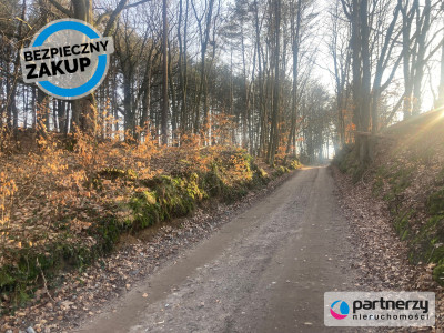 Działka siedliskowa w pobliżu Trójmiasta - Strzebielino  -
Pomorskie Zdjęcie nr 2