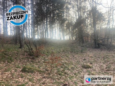 Działka siedliskowa w pobliżu Trójmiasta - Strzebielino  -
Pomorskie Zdjęcie nr 3