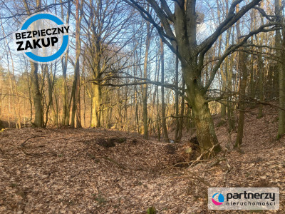 Działka siedliskowa w pobliżu Trójmiasta - Strzebielino  -
Pomorskie Zdjęcie nr 4