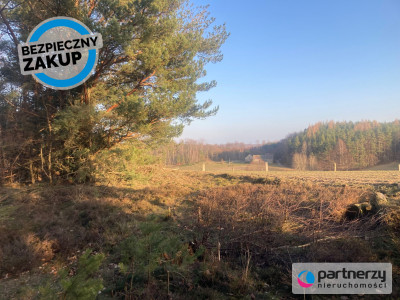 Działka siedliskowa w pobliżu Trójmiasta - Strzebielino  -
Pomorskie Zdjęcie nr 5