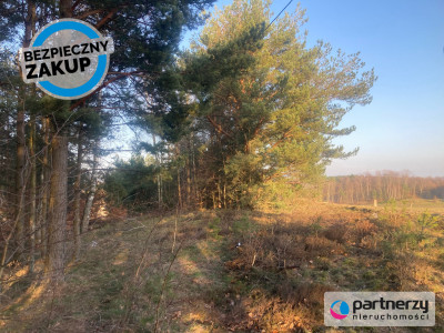 Działka siedliskowa w pobliżu Trójmiasta - Strzebielino  -
Pomorskie Zdjęcie nr 6