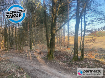 Działka siedliskowa w pobliżu Trójmiasta - Strzebielino  -
Pomorskie Zdjęcie nr 7