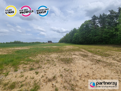 Działka budowlana w Perlinie - Perlino  -
Pomorskie Zdjęcie nr 4