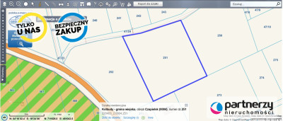 Duża działka w cichej i spokojnej okolicy - Czapielsk  -
Pomorskie Zdjęcie nr 12