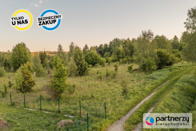 Duża działka w cichej i spokojnej okolicy - Czapielsk  -
Pomorskie Zdjęcie nr 2