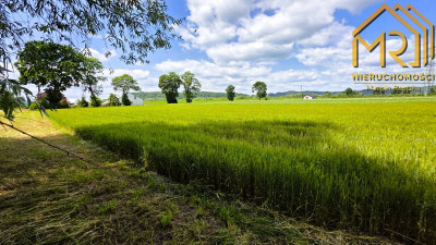 Działka pod zabudowę mieszkaniowo-usługową na gran - Wróblowice  -
małopolskie Zdjęcie nr 7
