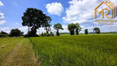 Działka pod zabudowę mieszkaniowo-usługową na gran - Wróblowice  -
małopolskie Zdjęcie nr 9