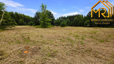 Kompleks 4 działek budowlanych w Pogórskiej Woli - Pogórska Wola  -
małopolskie Zdjęcie nr 12