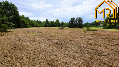 Kompleks 4 działek budowlanych w Pogórskiej Woli - Pogórska Wola  -
małopolskie Zdjęcie nr 8