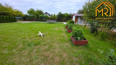 Działka ROD Nad Wątokiem - Tarnów  -
małopolskie Zdjęcie nr 3