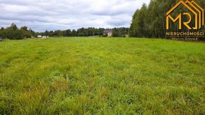 1 ha działki rolnej w gminie Szerzyny  - Żurowa  -
małopolskie Zdjęcie nr 6