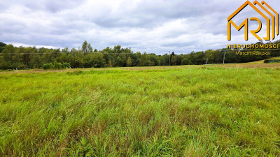 1 ha działki rolnej w gminie Szerzyny  - Żurowa  -
małopolskie Zdjęcie nr 7